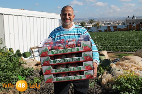 re7la tolkarem (12).JPG